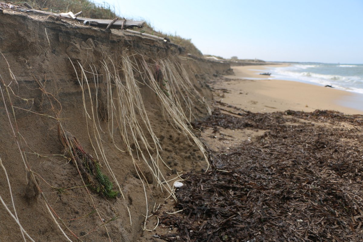 Come muore una spiaggia